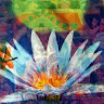 Writer: lotusedinstitute