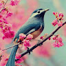 Created by
