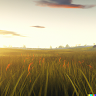 tangerinesinthesun