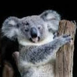 用戶: דבורה דוידזון-לסר