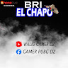 Walid Gamer dz