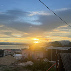 Kullanıcı: jai “WOLF” bradshaw