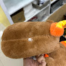 櫻花 0