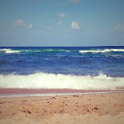 Kullanıcı: Александър Ковачев