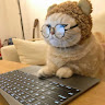 EdrawMax user profile image