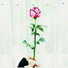 Created by