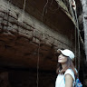 User ID : 108541