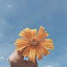 Created by