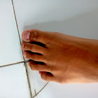 Kullanıcı: ส้นตีนเถอะ ไอสัส