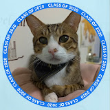 사용자를: 徐小貓（小貓）