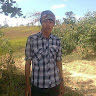 budin flickr