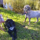 Người dùng: Sandra McLeod