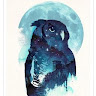 The_Night_Owl