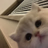 HJ
