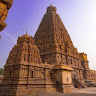 Ms Dhanalakshmi V