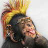 susaninabrat545's Avatar