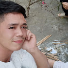 Utilizator: tuan cuong