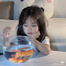 Chín N