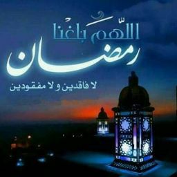 ابواحمد الناصر المحمد