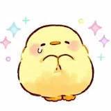 林舒妍（豬妍）