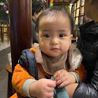 Bruger: Nga Nguyễn Phương