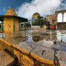 Writer: ترنيم الدراس