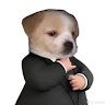 yilber
