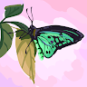 Created by