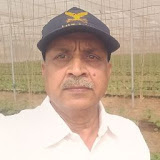 Användare: Rohtas Singh