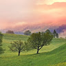 h. zadok's photo
