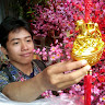 Created by