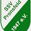 Sport- und Spielverein Pronsfeld (Owner)