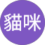 貓咪仲咪貓