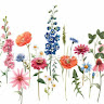 Created by