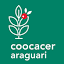 Coocacer Araguari