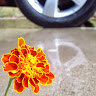 Created by