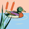 organization avatar