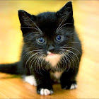 사용자를: Валентин