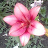 Created by