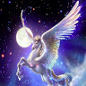 AquirraTheWind member profile picture