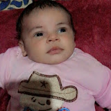 هوارى ابوعلى