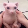 плюшик