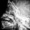 user_mcwras15wfp08ebq member profile picture