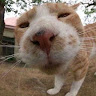TrinhTrinh2004 member profile picture