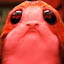 star war porg