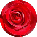 Avatar de Nathalie.z