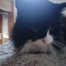 user_3im4emaoxaisdq4n61578 member profile picture
