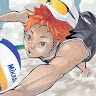 Shoyo