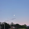 View LeBlancCat's Profile