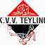 Voetbalvereniging Teylingen (Owner)